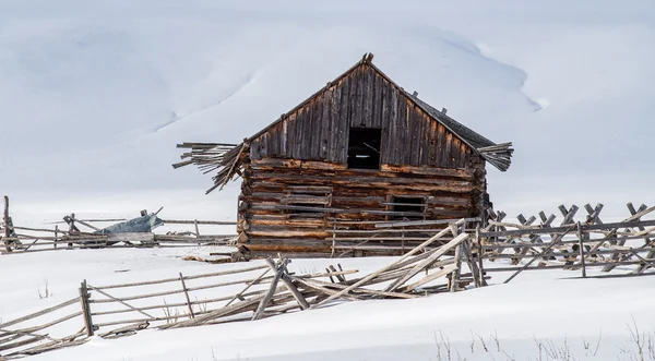 Old Colorful Wood Grain Barn in Winter Starkness