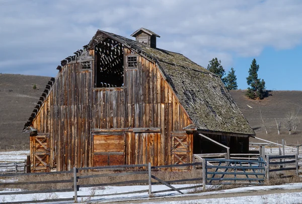Large Old Barn with Beautiful Colorful Woodgrain