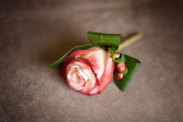 Red rose wedding boutonniere for groom on sofa, close-up