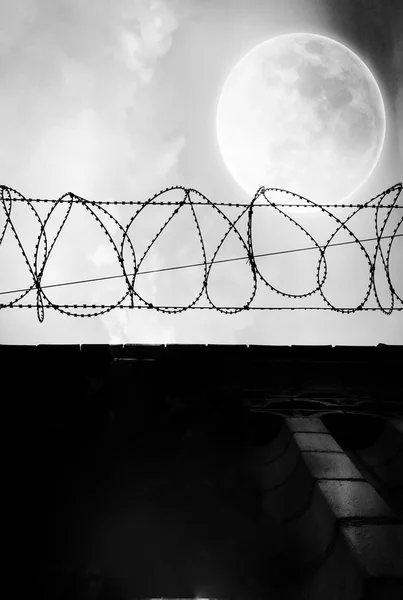The fence and barbed wire