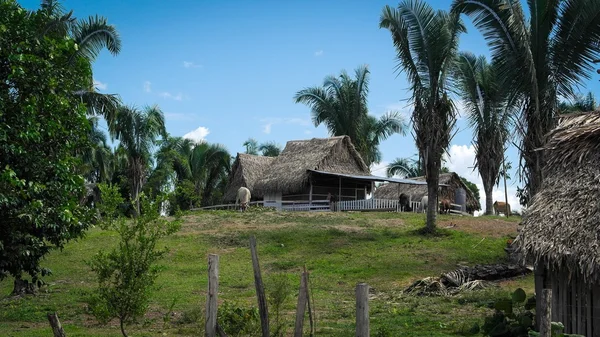 Shipibo Indian village deep in the Peruvian Amazon