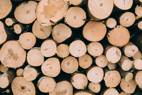 firewood logs in a pile