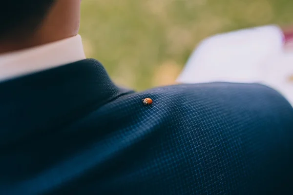 Ladybug on man's shoulder