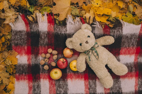 Toy Bear In Autumn Park