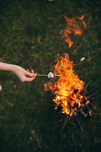 Stick with marshmallow above campfire