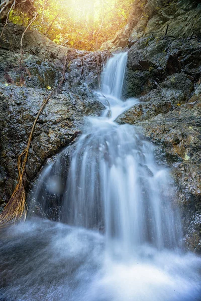 Beautiful waterfall on a mountain slope in deep forest. Tropical waterfall in rain forest.