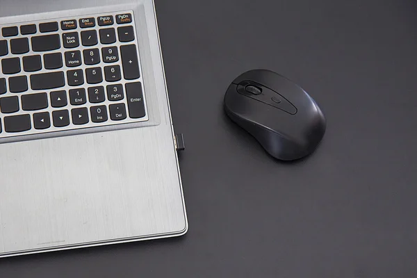 Wireless mouse and laptop.