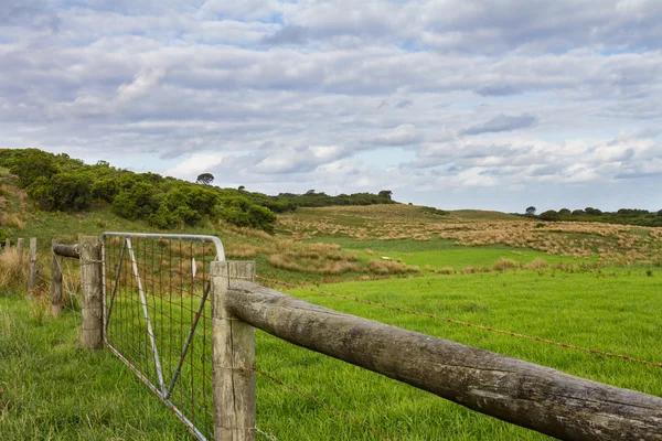 Fence in open Field, Cape Otway, VIC Australia