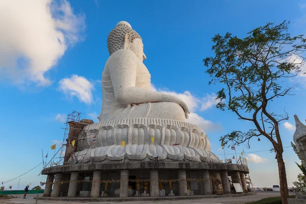 White big Buddha on hilltop