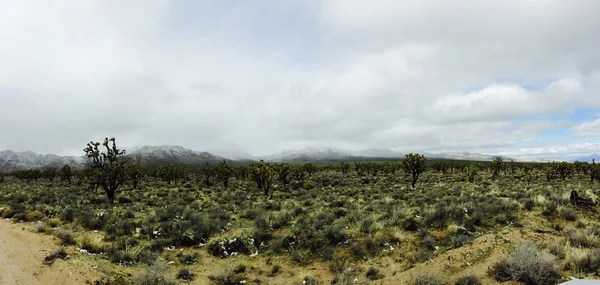 Desert Mountains Landscape Travel Nature Panorama