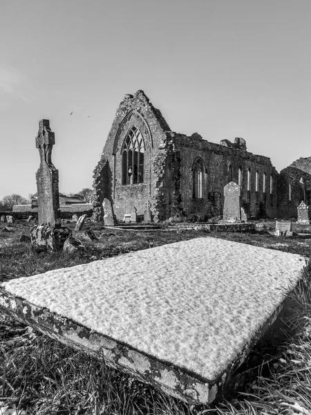 阿森多米尼加修道院爱尔兰 - 图库照片Destino