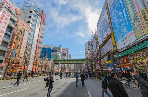 Tokyo, Japan - January 24, 2016: Akihabara district in Tokyo, Japan. Akihabara district is very crowded and closed for car traffic every Sunday, so pedestrians can walk freely.