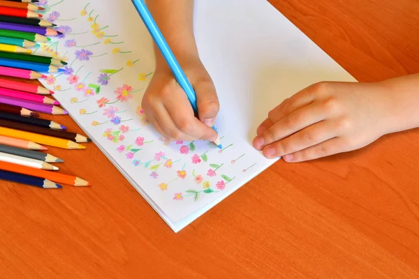 Child holds a pencil in hand and draws a meadow with flowers