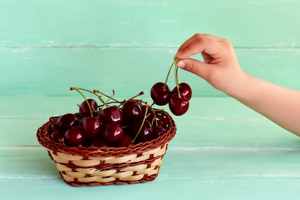 Ripe juicy fruits in a basket. Child takes cherries from a basket. Child holding cherries in her hand.