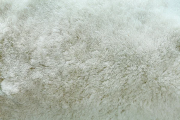 Texture fur skins, texture white fur, texture sheepskin, fur sur