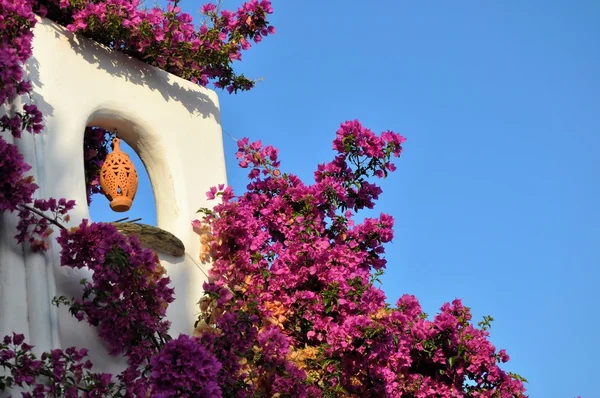 Detail of house and flowers from greek town Old Alonissos