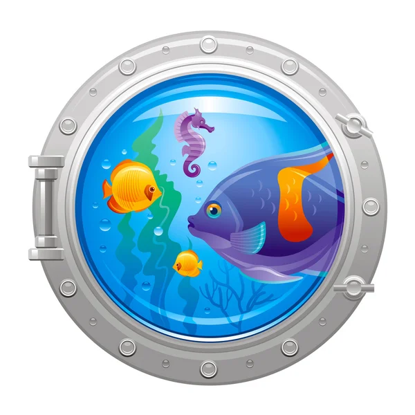 Blue porthole with colorful underwater life, fishes