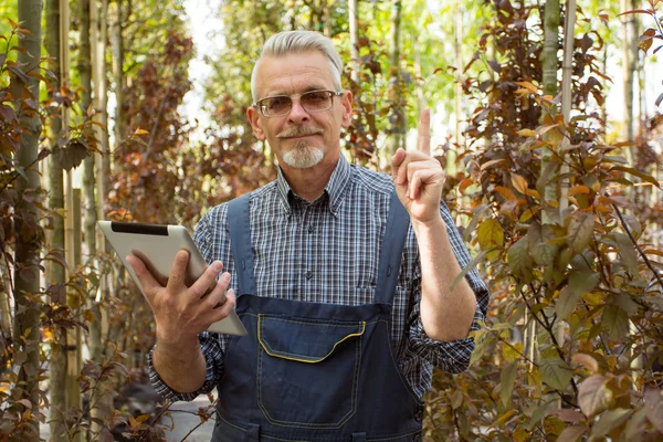 Attention! Gardener in the garden center on the background of trees keeps tablet in hands