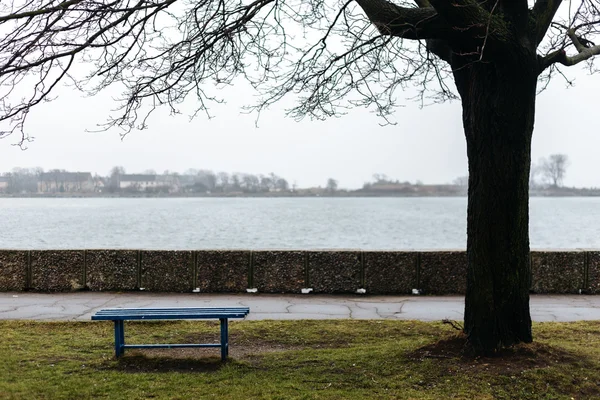 Bench for the loneliness and solitude on the shores of the Baltic Sea