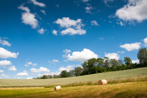 Gold bales on green grass and blue sky with clouds