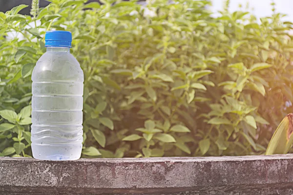 Water bottle on concrete floor with nature background.