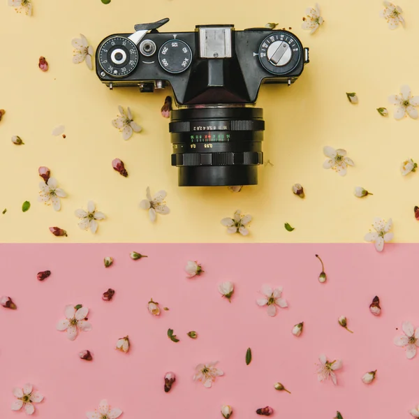 Vintage camera and flowers