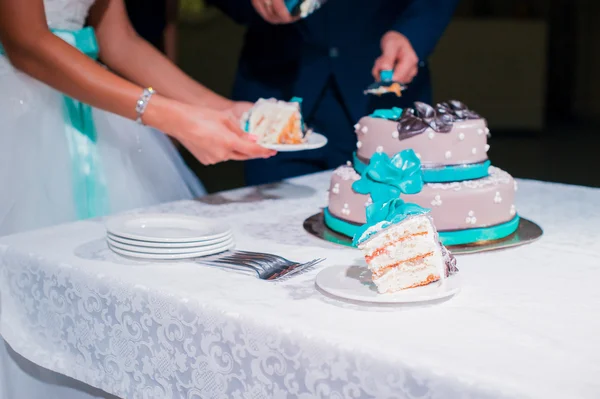 Husband and wife, the couple cut the wedding cake knife