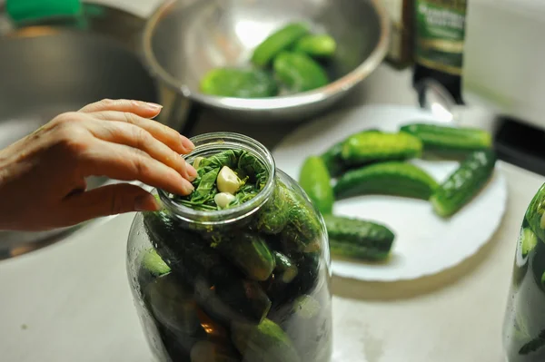 People are preparing in the kitchen. pickling cucumbers, preparation for winter salting.