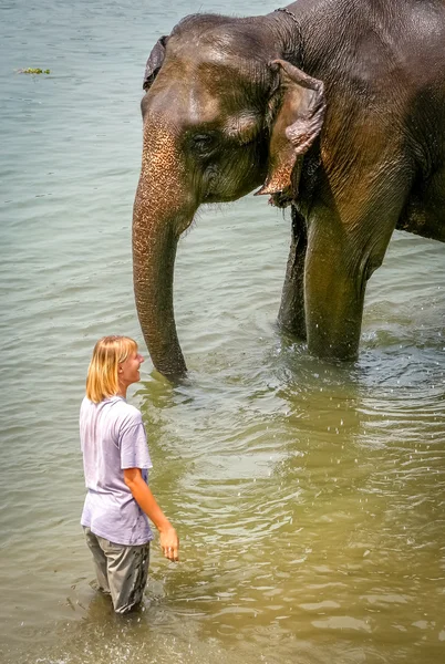 Tourist and elephant