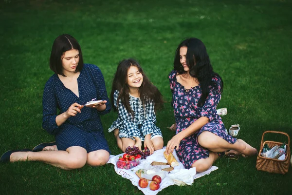 Summer family picnic on the lawn