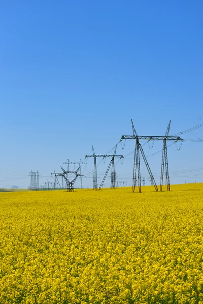 Scaffolding with a high voltage circuit in a field of rapeseed and blue sky