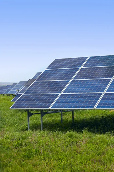 Solar panels on a green field on a sunny day