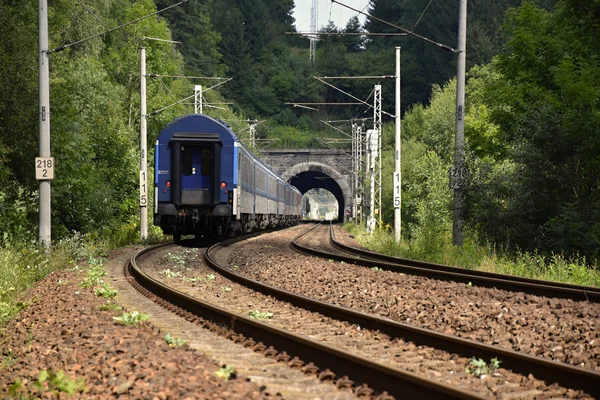 Railway corridor with a tunnel. The train enters a tunnel. Double-track electrified railway.