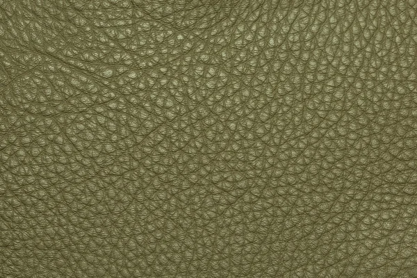 Green leather texture grained background