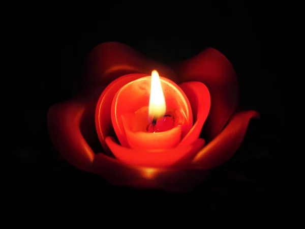 Rose candle in black  background