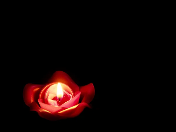 Rose candle in black  background
