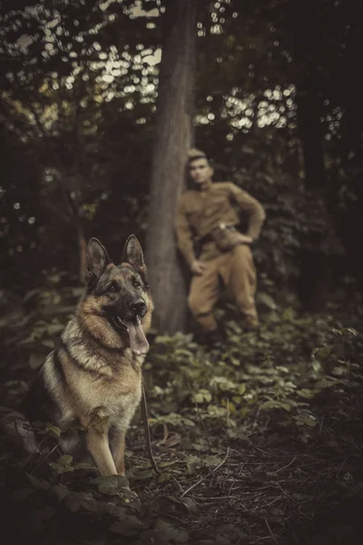 Military dog with a soldier
