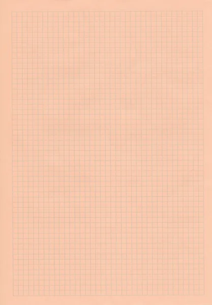 Peach squared notebook sheet