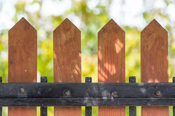 Fence in the garden, closeup