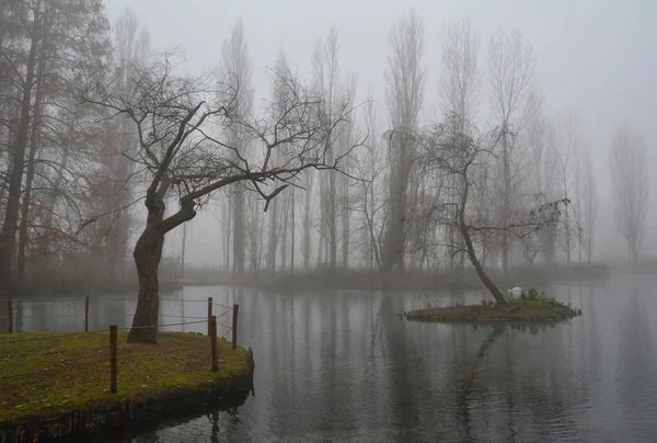 CAMPELLO SUL CLITUNNO (UMBRIA), ITALY - 21 DECEMBER 2013 - 