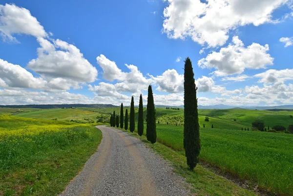 VAL D'ORCIA, ITALY - 1 MAY 2016 - The wonderful and very famous landscape of Tuscany region.