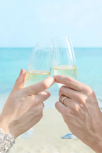 Wine Toasting with beach and sea background