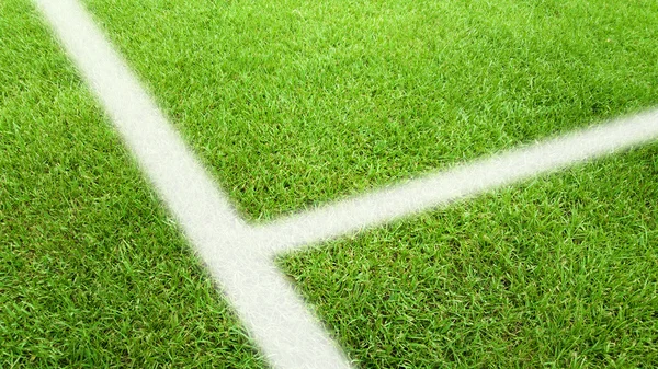 Soccer grass and white lines