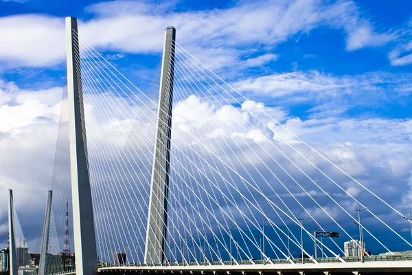 Cable-stayed bridge