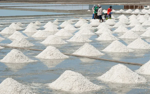Samutsongkhram Thailand - July 22 , 2016 : White Salt fields in Thailand.