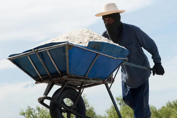 Samutsongkram Thailand - July 22 2016 : Labors  working  in salt fields.