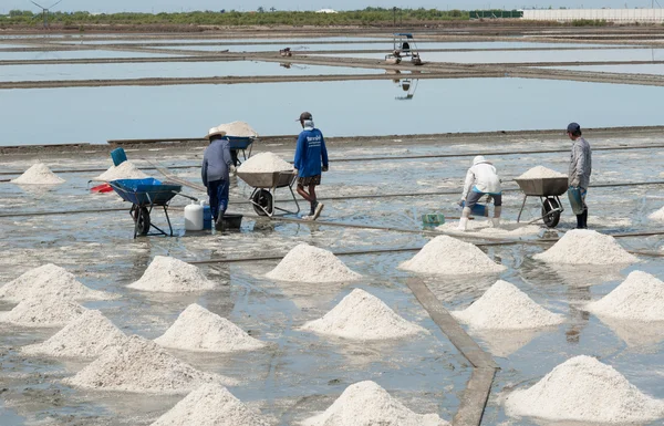 Samutsongkram Thailand - July 22 2016 : Labors  working  in salt fields.