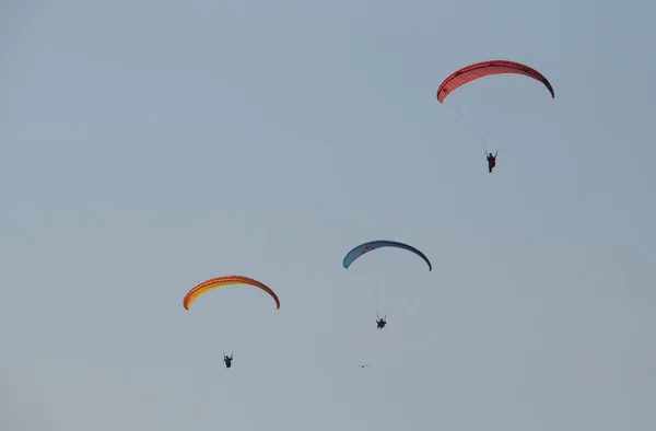 Three men flying on a red paraglider it the evening