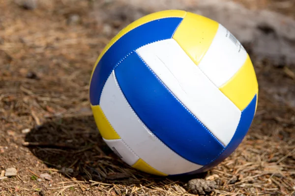 Volleyball ball lying on the ground