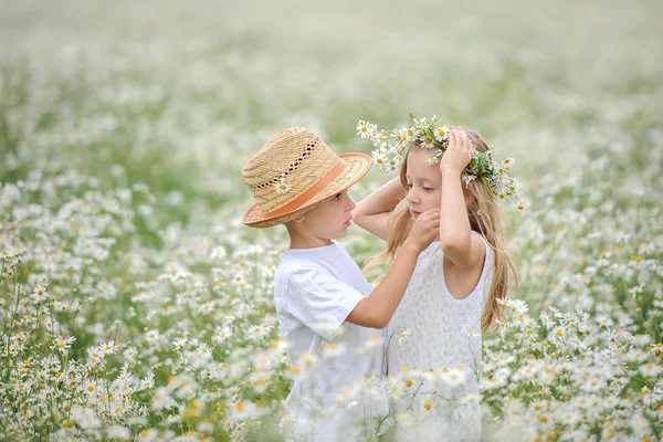 boy with girl in  flower field
